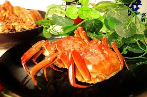  上海阳澄湖大闸蟹